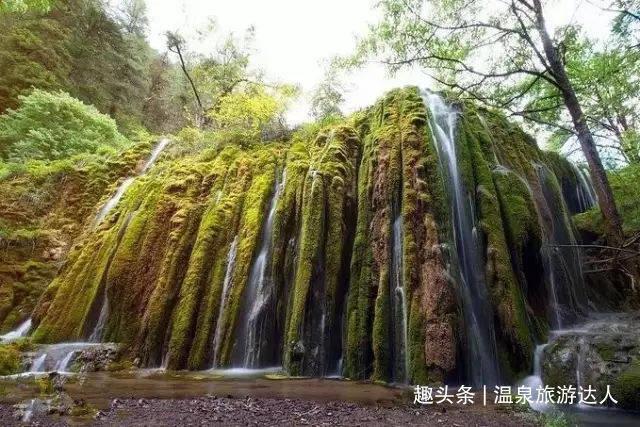 员工送货路上撞伤老人公司该不该承担责任？